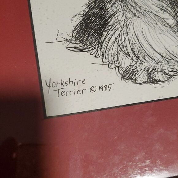 Vintage 1985 Yorkshire Terrier /  Yorkie Sketch G. Marlo Allen Print - Picture 2 of 6